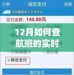 一站式指南,轻松查询航班实时信息,掌握航班动态尽在十二月!