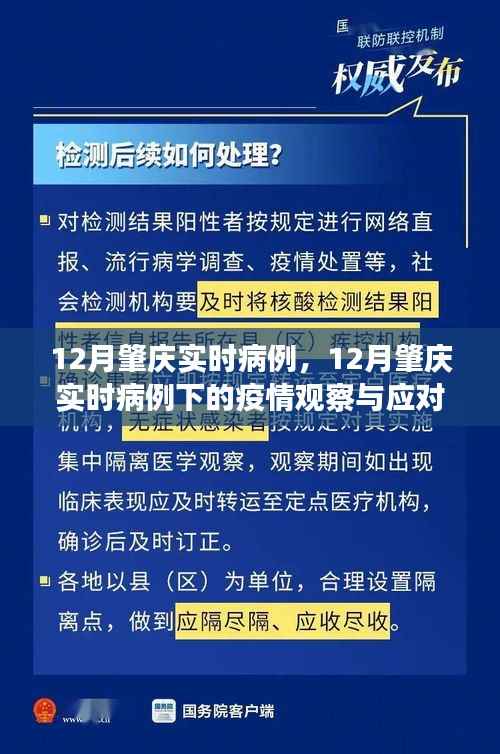 关于肇庆市实时病例的观察与应对策略之我见,疫情下的深度探讨