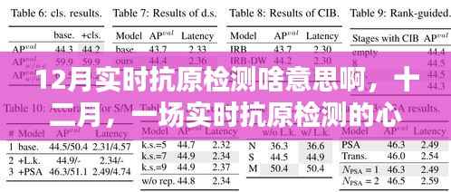 十二月实时抗原检测，心灵净化之旅的启程