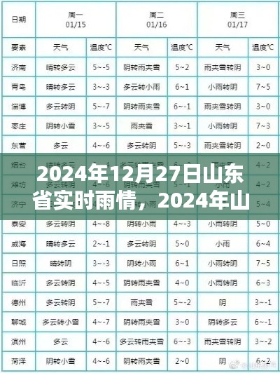 山东省实时雨情分析报告,最新雨情动态(2024年12月27日)