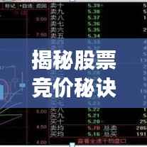 公司概况 第108页