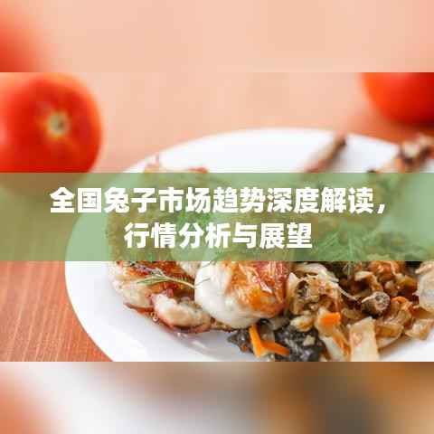全国兔子市场趋势深度解读,行情分析与展望