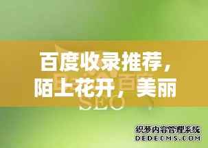 百度收录推荐,陌上花开,美丽邂逅尽在百度之中