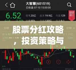 股票分红攻略,投资策略与智慧之选