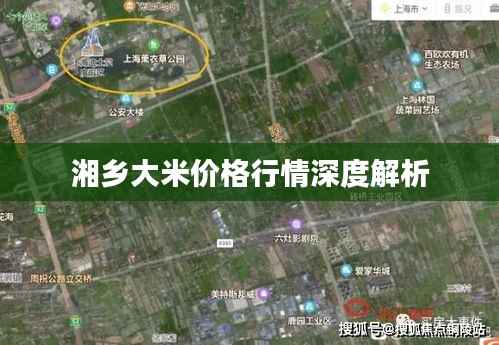 湘乡大米价格行情深度解析
