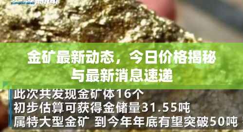 金矿最新动态,今日价格揭秘与最新消息速递