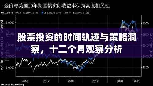 股票投资的时间轨迹与策略洞察,十二个月观察分析