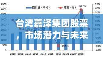 台湾嘉泽集团股票，市场潜力与未来前景展望