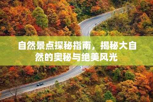 鸟飞兔走 第2页