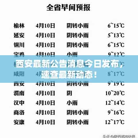 西安最新公告消息今日发布，速查最新动态！