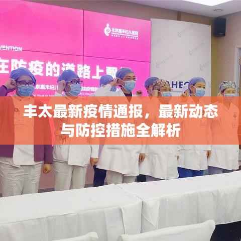 丰太最新疫情通报,最新动态与防控措施全解析