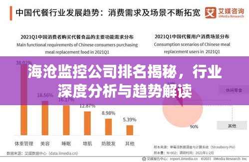 海沧监控公司排名揭秘，行业深度分析与趋势解读