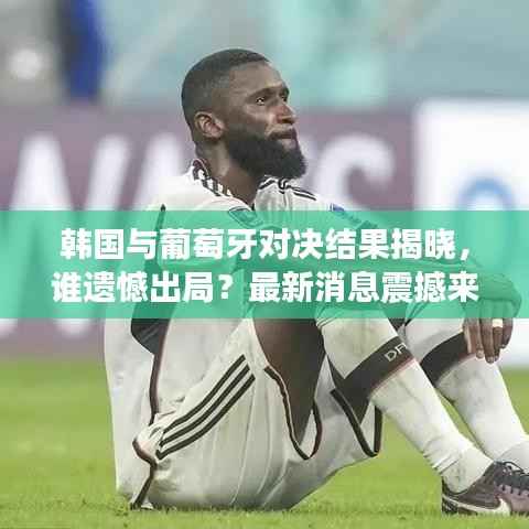 韩国与葡萄牙对决结果揭晓,谁遗憾出局?最新消息震撼来袭!