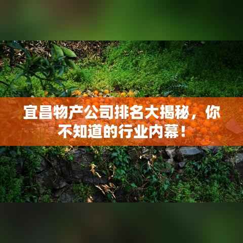 宜昌物产公司排名大揭秘,你不知道的行业内幕!