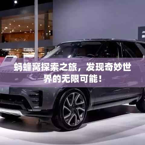 蚂蜂窝探索之旅,发现奇妙世界的无限可能!