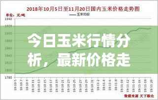 今日玉米行情分析,最新价格走势及未来展望