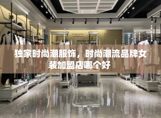 独家时尚潮服饰,时尚潮流品牌女装加盟店哪个好
