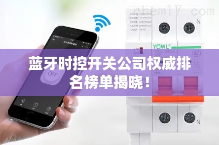 蓝牙时控开关公司权威排名榜单揭晓!