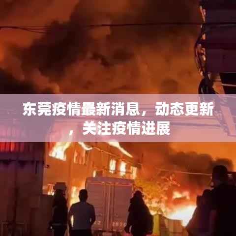 东莞疫情最新消息，动态更新，关注疫情进展