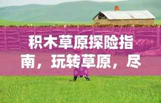 积木草原探险指南，玩转草原，尽享乐趣！