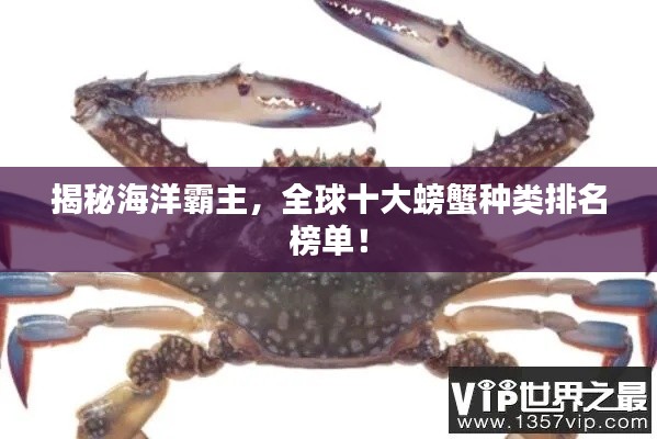 揭秘海洋霸主，全球十大螃蟹种类排名榜单！