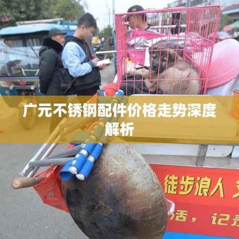 广元不锈钢配件价格走势深度解析