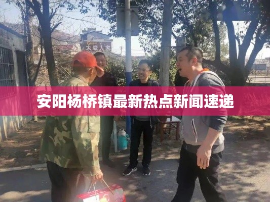 安阳杨桥镇最新热点新闻速递