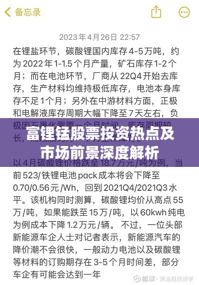 富锂锰股票投资热点及市场前景深度解析