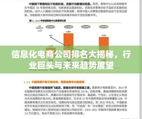 信息化电商公司排名大揭秘,行业巨头与未来趋势展望