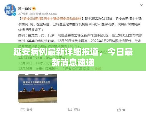 延安病例最新详细报道，今日最新消息速递